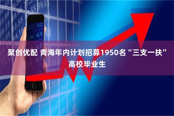 聚创优配 青海年内计划招募1950名“三支一扶”高校毕业生